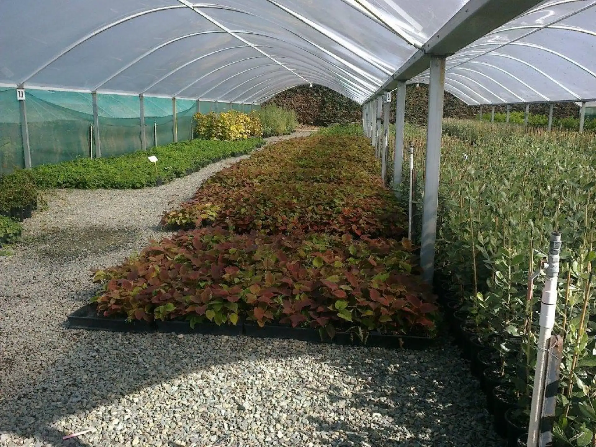 Orchard plant movements