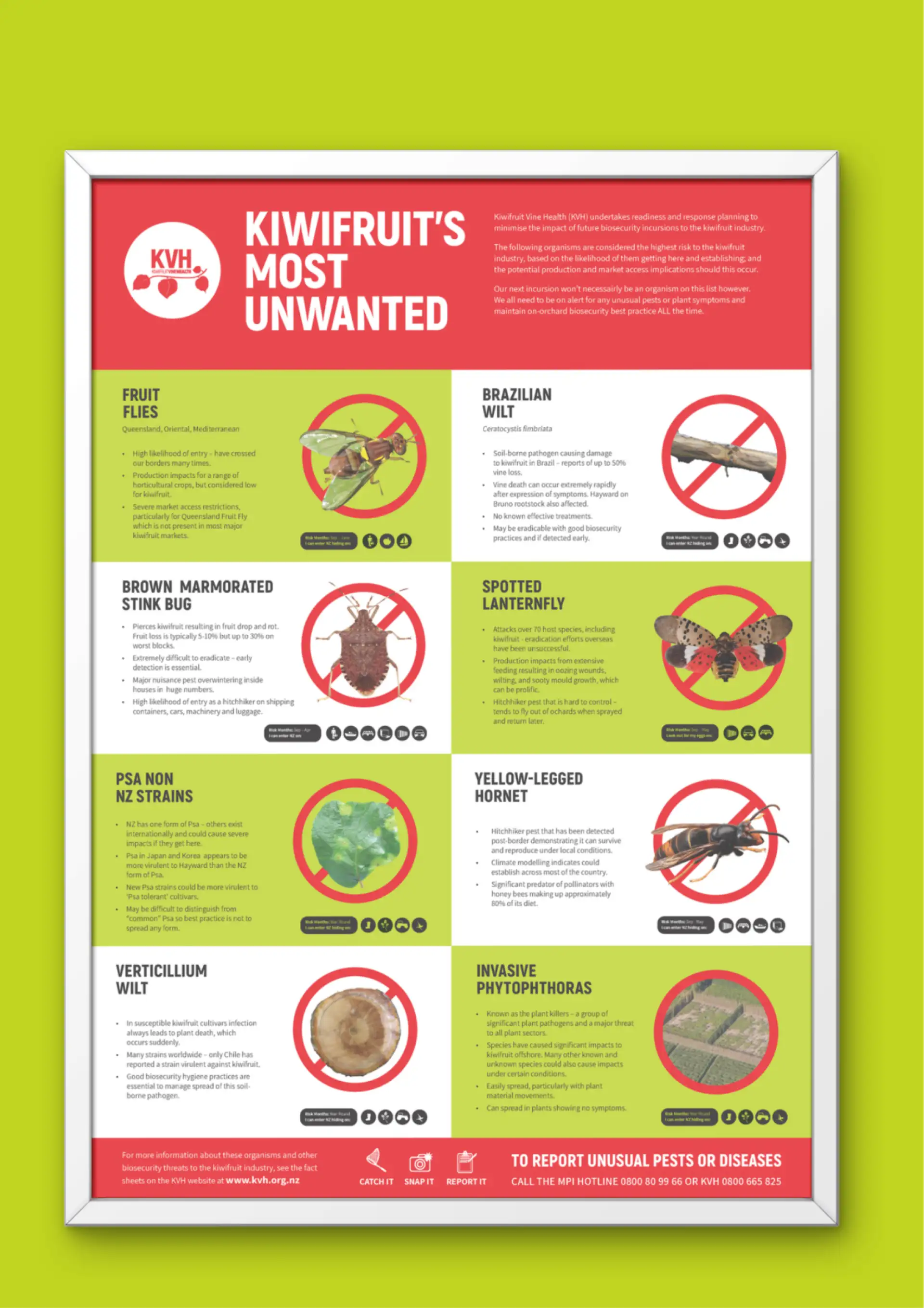 Kiwifruit's most unwanted